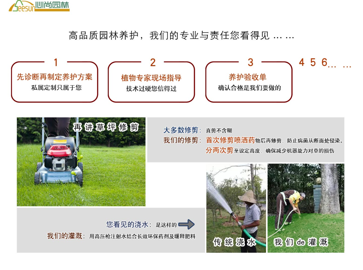 中国·金沙集团-www.1991cc|特色百科-Sands Group