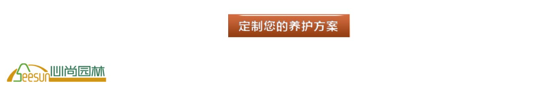 中国·金沙集团-www.1991cc|特色百科-Sands Group
