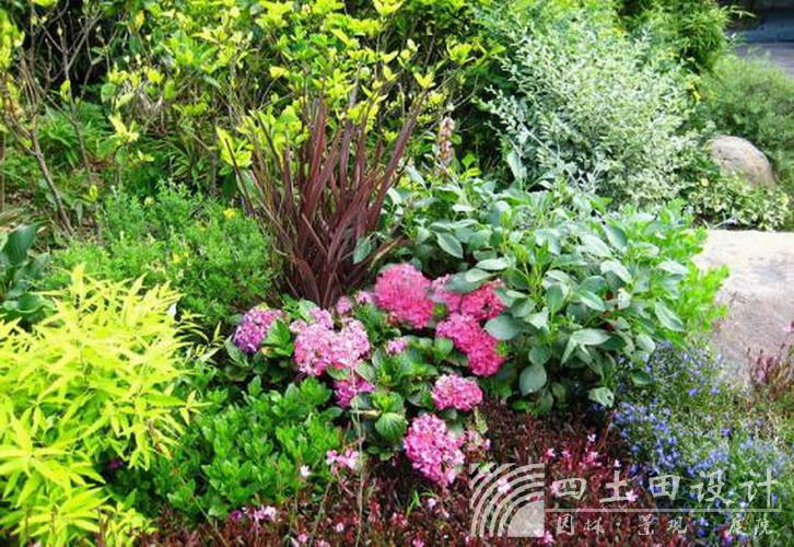 中国·金沙集团-www.1991cc|特色百科-Sands Group