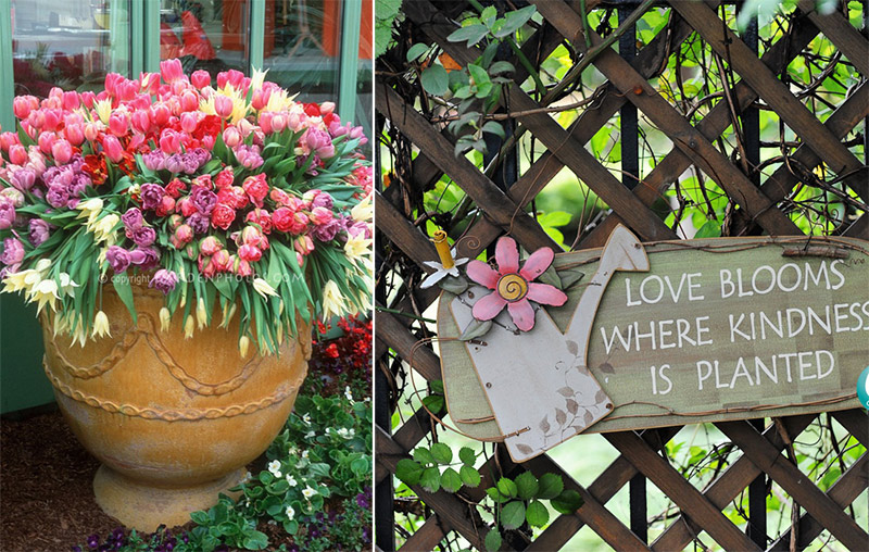 中国·金沙集团-www.1991cc|特色百科-Sands Group