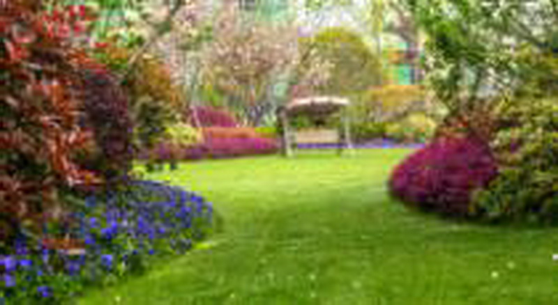 中国·金沙集团-www.1991cc|特色百科-Sands Group