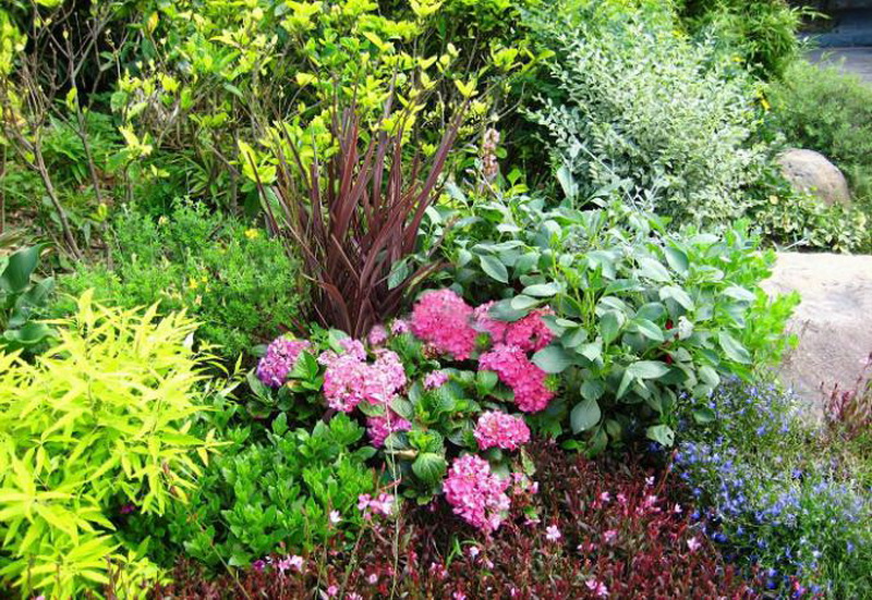 中国·金沙集团-www.1991cc|特色百科-Sands Group